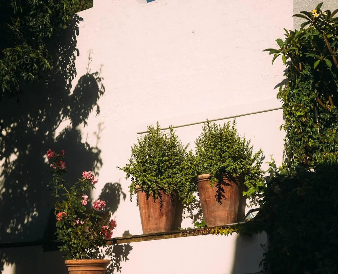Acorn House Bed & Breakfast Cape Town 4*,