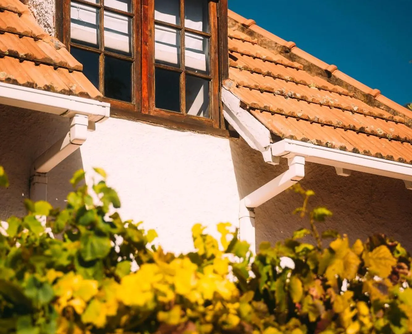 Acorn House Bed & Breakfast Cape Town