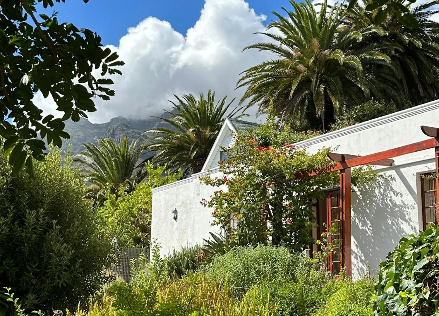 Acorn House Bed & Breakfast Cape Town