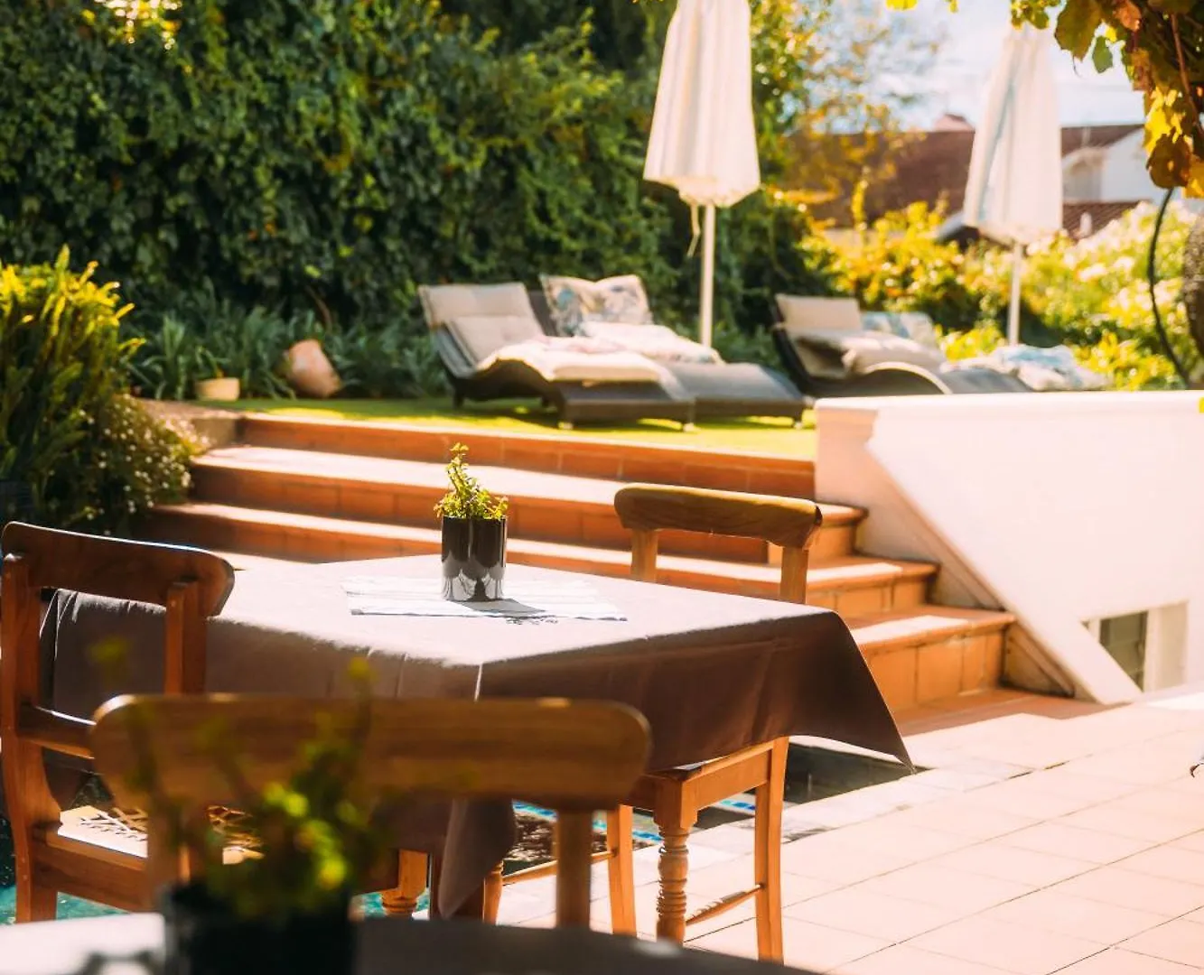 Acorn House Bed & Breakfast Cape Town South Africa